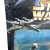 VIII Star Wars - Micro Machines - Star Wars en internet