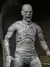 Ultimate Mummy (Color) -Universal Monsters - Neca en internet