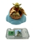 Maestro Yoda