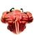 Imagen de Big Slammu - Street Shark