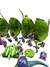 Heroic Planet Bone - War Planets - Vianda de Ayer Coleccionables