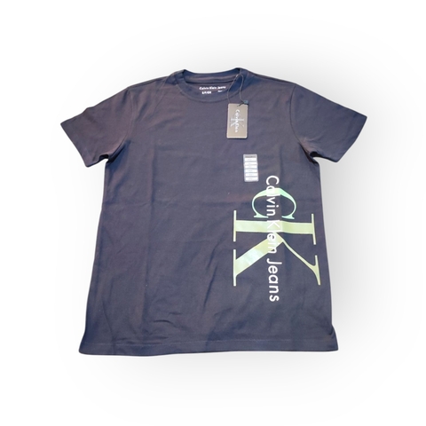 CALVIN KLEIN 01 GRIS