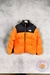 CAMPERA BITONO THE NORTH FACE en internet