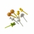 Palitinho Sol – 8 und - comprar online