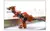 Carrinho Transformers Vira Robô Dinossauro Brinquedo Menino