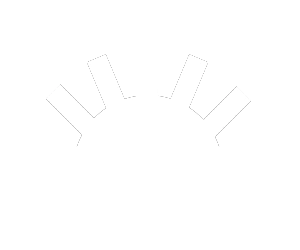 Fuerza Patria