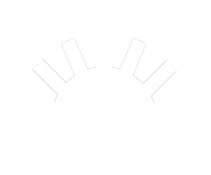 Fuerza Patria