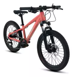 BICI TSW HUNCH 8V C/CAMBIO 20"X10.5" FLAMINGO NAC. - comprar online