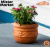 Maceta Terracota Barro Macedonia Clasico Jardin Decoracion Blum en internet