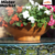 Maceta Terracota Barro Paila Clásico Jardín Decoración Blum - comprar online