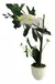 Orquídea Flores Artificial Jardín Planta