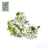 Semillas Aliso Profesional Huerta Cultivo Floral Eco