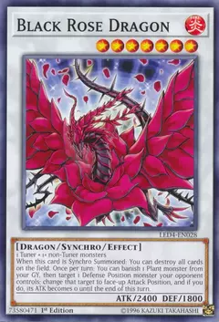 Black Rose dragon - Comun