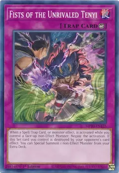 Fists of the Unrivaled Tenyi - Comun