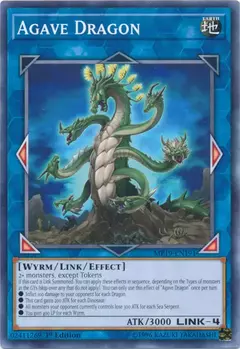 Agave Dragon - Comun