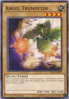 Angel Trumpeter – Comun