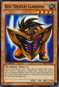 Big Shield Gardna - Comun - comprar online