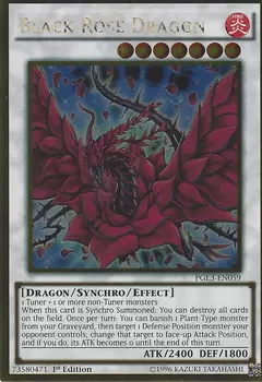 Black Rose Dragon - Gold
