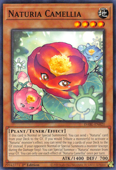 Camelia Naturia - Comun - DABL