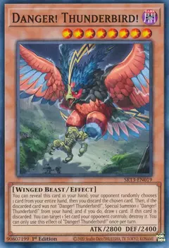 Danger! Thunderbird! - Comun