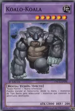 Koalo-Koala - Comun