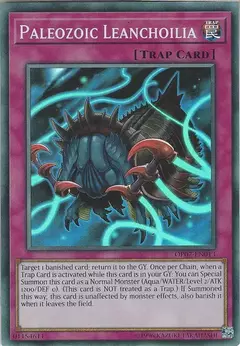 Paleozoic Leanchoilia - Super