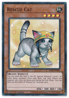 Rescue Cat - Super Rare - RA02