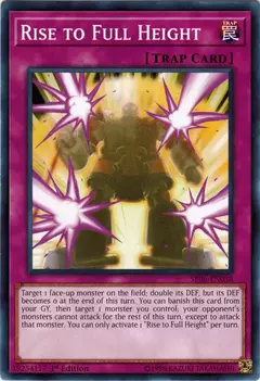Rise To Full Height - Comun
