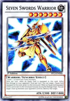 Seven Swords Warrior - Comun