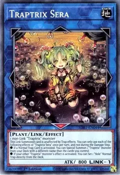 Traptrix Sera - Comun - SDBT