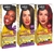 Tintura Salon Line Light Color Cor:4.0 Castanho Médio - comprar online