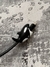 Comecable - Animalitos en internet