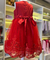 VESTIDO TULE COM BORDADO PAETE na internet