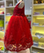 VESTIDO TULE COM BORDADO PAETE - comprar online