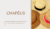 Banner de Palina