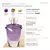 Magnific Violet Dahlia Desodorante Colônia 75ml [Eudora] na internet