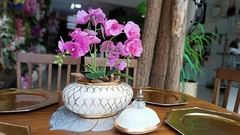 Banner de la categoría Orquídeas