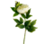 FLR00602CR
