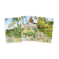 Forest Shuffle: Borda da Floresta (Expansão) - comprar online