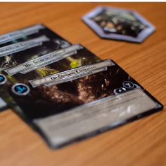 O Senhor dos Anéis: Card Game (Revised Core Set) - Galápagos