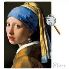 Quebra-cabeça 500pç Nano Moça Brinco Pérola Johannes Vermeer - Facil Shopping