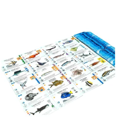 Finspan - Jogo de Tabuleiro - Grok na internet