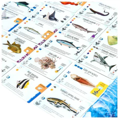 Finspan - Jogo de Tabuleiro - Grok