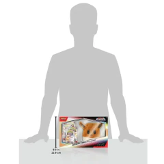 Pokémon Coleção Especial Bolsas Acessórios EV8.5 Eevee - loja online