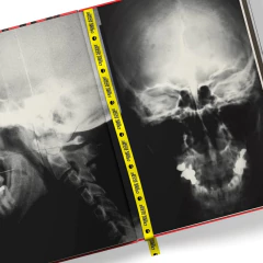 Serial Killers: Made in Brazil - Darkside - loja online