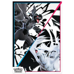 Pokemon Binder Collection EV10.5 Black Bolt (EN) - loja online