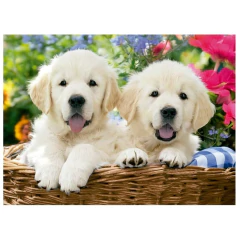 Mini Quebra-cabeça 500 peças Cesta de Labradores - Grow na internet