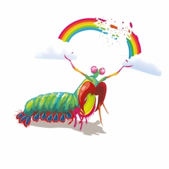 Mantis - Jogo de Cartas - Galápagos