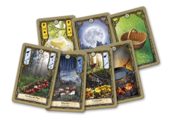 Fungi - Jogo de Cartas - PaperGames - comprar online