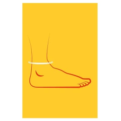 SizeUp - Jogo de Cartas - Papergames na internet